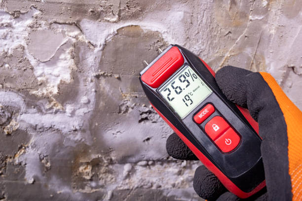 Best Mold Removal Near Me  in Brownsville, OR