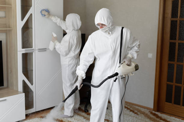 Attic Mold Removal in Brownsville, OR