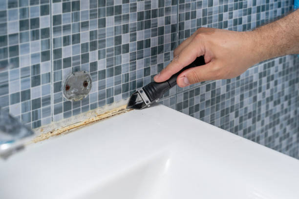 Best Mold Testing  in Brownsville, OR