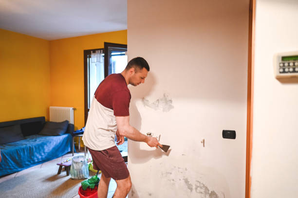 Best Toxic Mold Removal  in Brownsville, OR